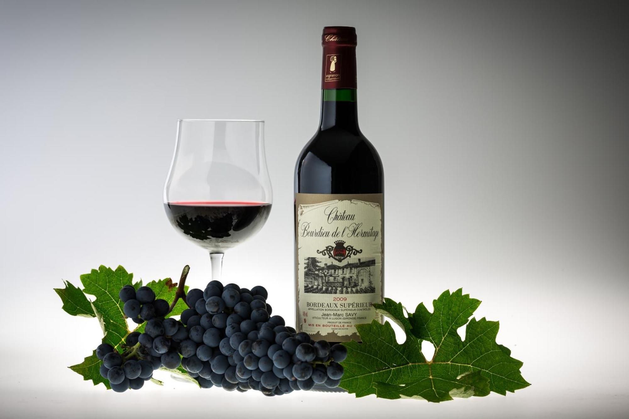 L'Hermitage D'Alienor Lugon et l’Ile du Carney Екстериор снимка